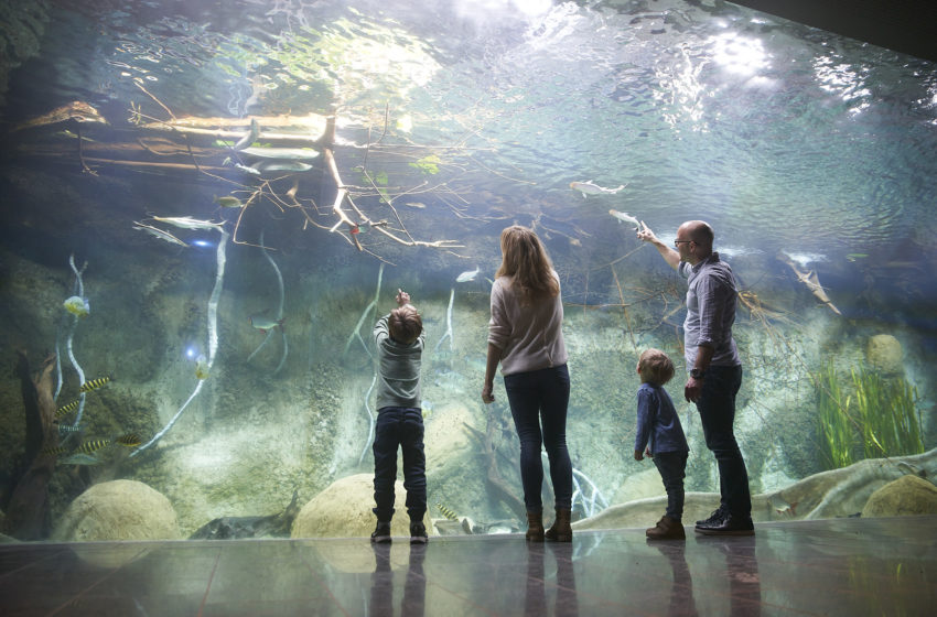  Zoo Leipzig: Aquarium nach Modernisierung wiedereröffnet