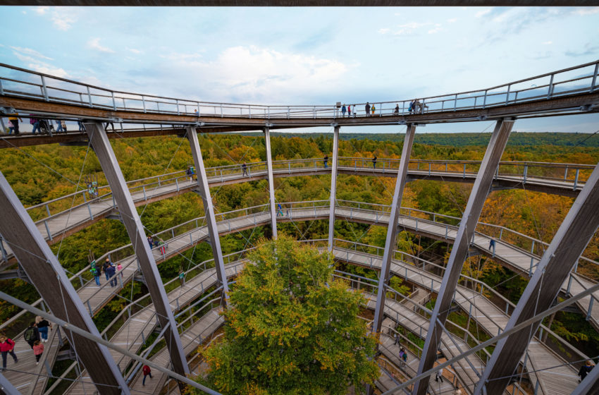  Baumwipfelpfad Steigerwald: Wo Inklusion mit Kugeln und Wippe „gewuppt“ wird
