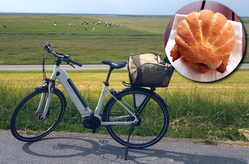  Bremerhaven: Deutsche Fisch-Genuss-Route und mehr mit Rückenwind erleben