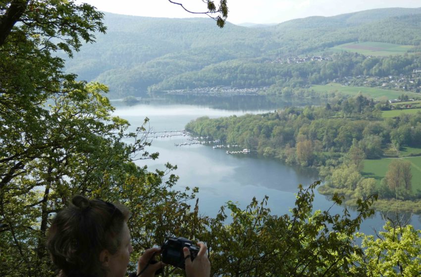  Nationalpark Kellerwald-Edersee: Im Buchenwald liegt die Wiege unserer Kultur