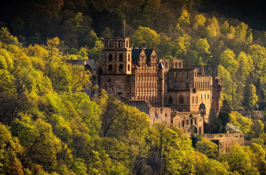  Heidelberg ist doppelt top bei internationalen Gästen