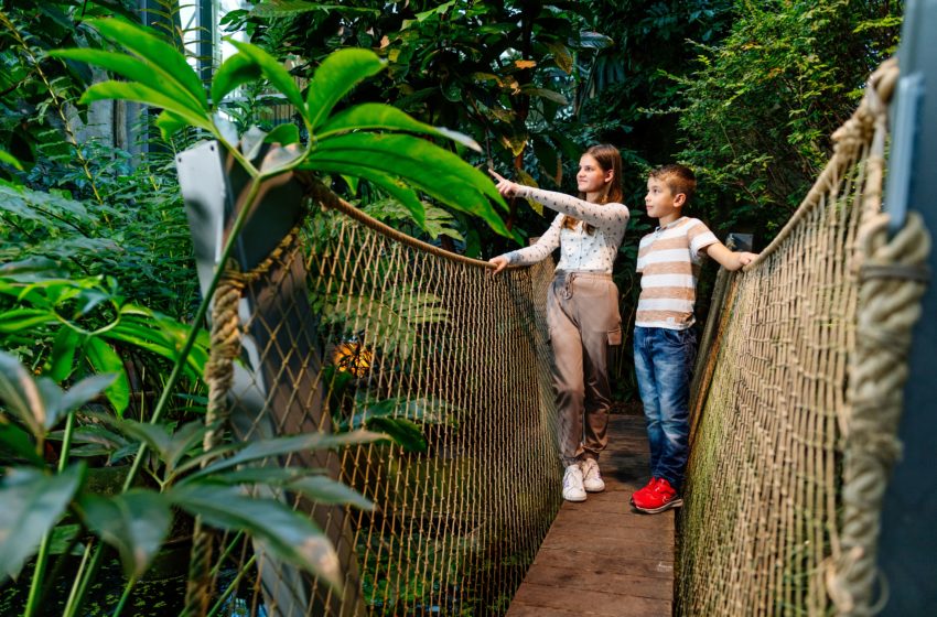  Erfurt: Egapark zählt 2022 zu Thüringens Top-Adressen