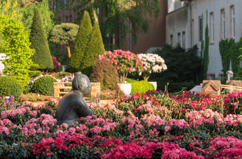  Spektakulär: Asteriden im Ammerland