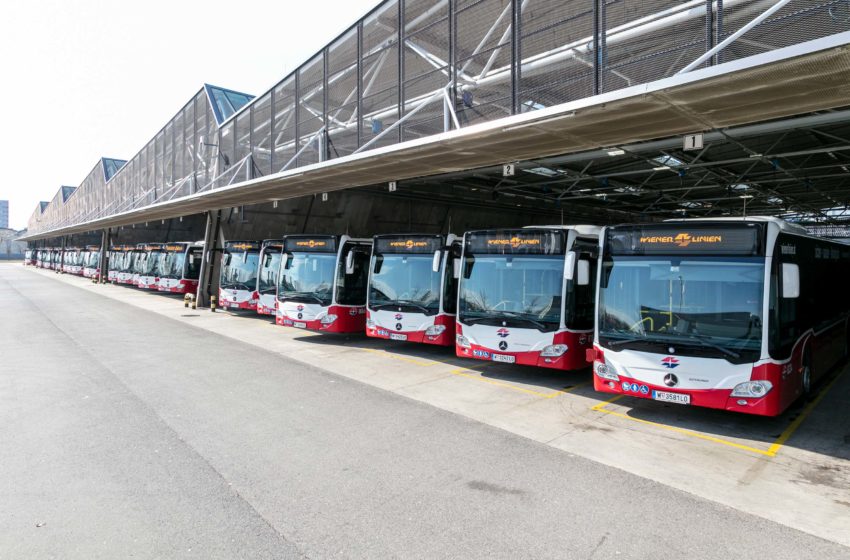  Wiener Linien: 1.000 Euro für Buslenker mit D-Schein