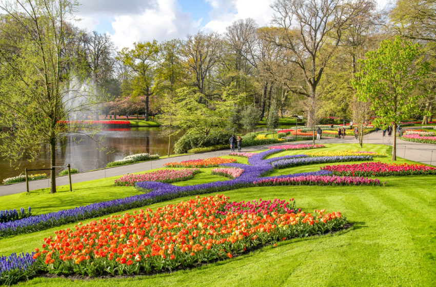  Keukenhof: Erfolgreiche Saison
