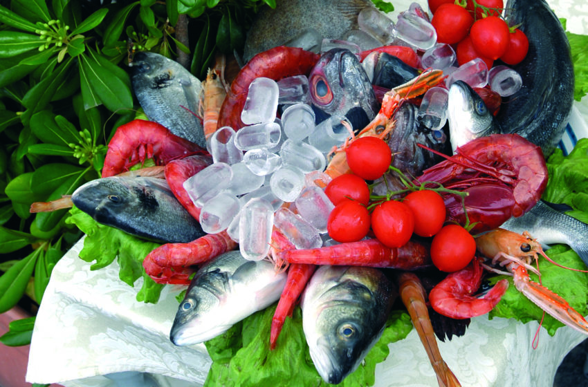  Mit Michelangelo auf Genuss-Tour