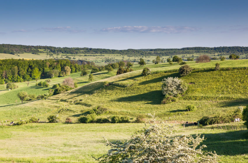  Nachhaltigkeitspreis Tourismusdestination gewonnen: Biosphäre Bliesgau, Oberstdorf und  Vorpommern