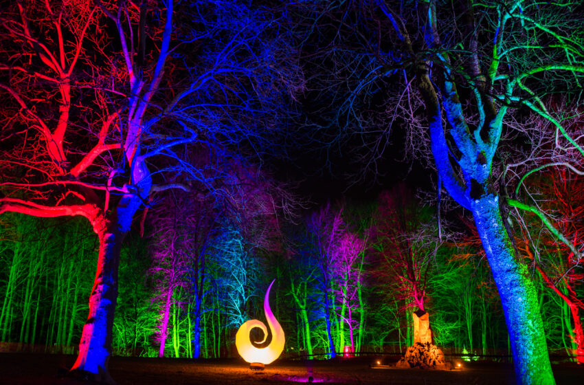  „Höxter leuchtet“ – Event zur Landesgartenschau Höxter