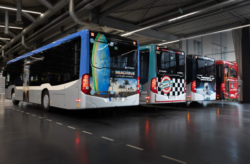  Spillmanns neue Kreationen