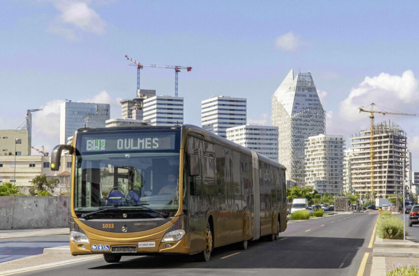  40 Capacity L für Casablanca