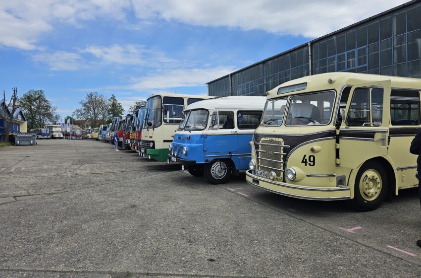 Oldtimer-Busse in Heidenau