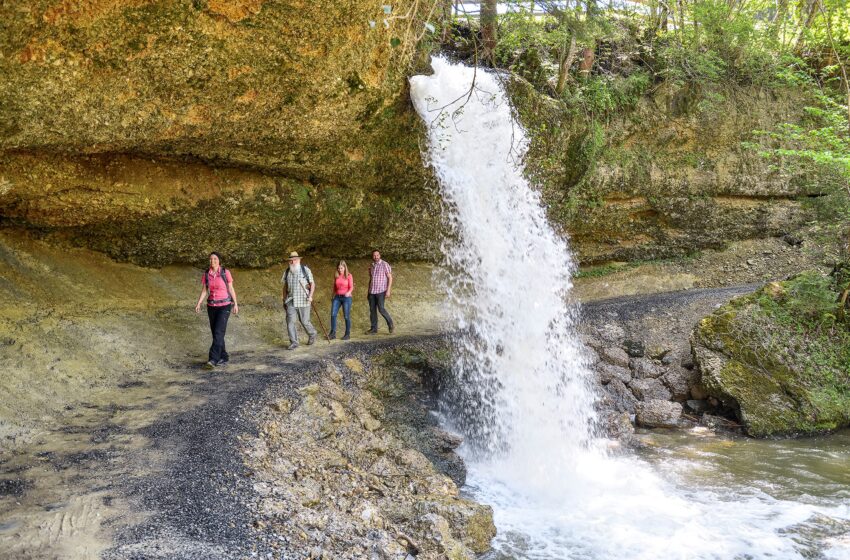  Das Allgäu von seiner besten Seite