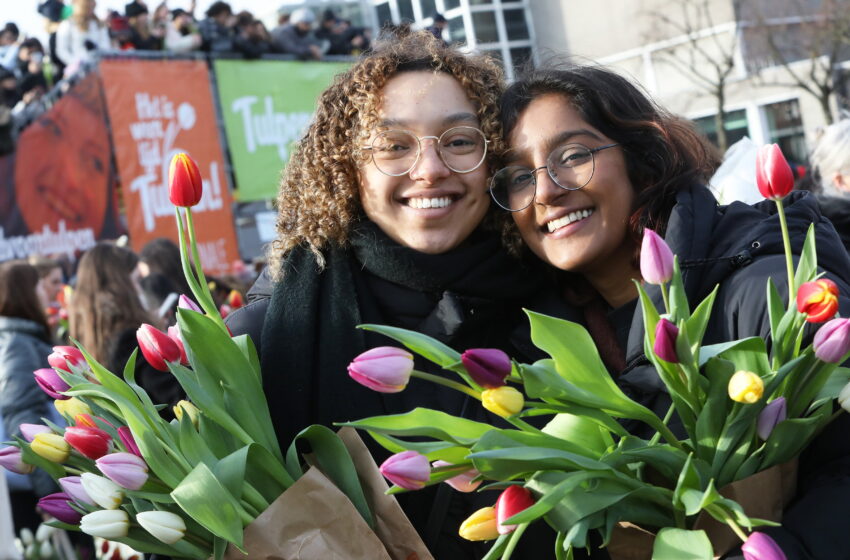  Amsterdam blüht zum 750. Geburtstag richtig auf