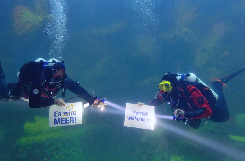  Meeresmuseum Stralsund: Aquarienrundgang offen