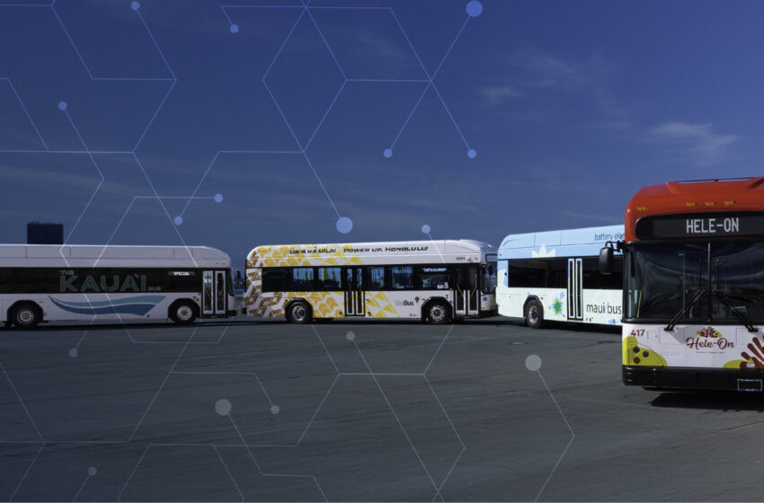  Hawaii: Eine Inselgruppe wird elektrisch