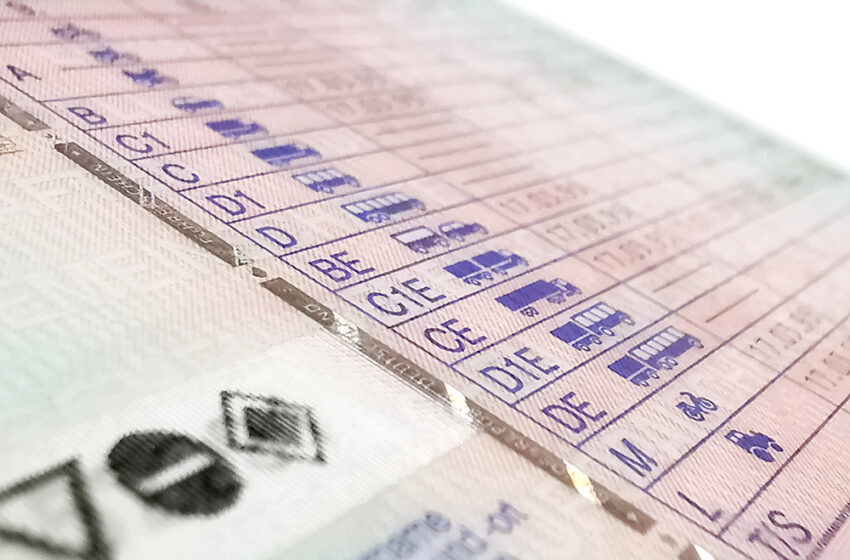  Bus- und Logistikbranche stellt sich hinter Führerscheinreform